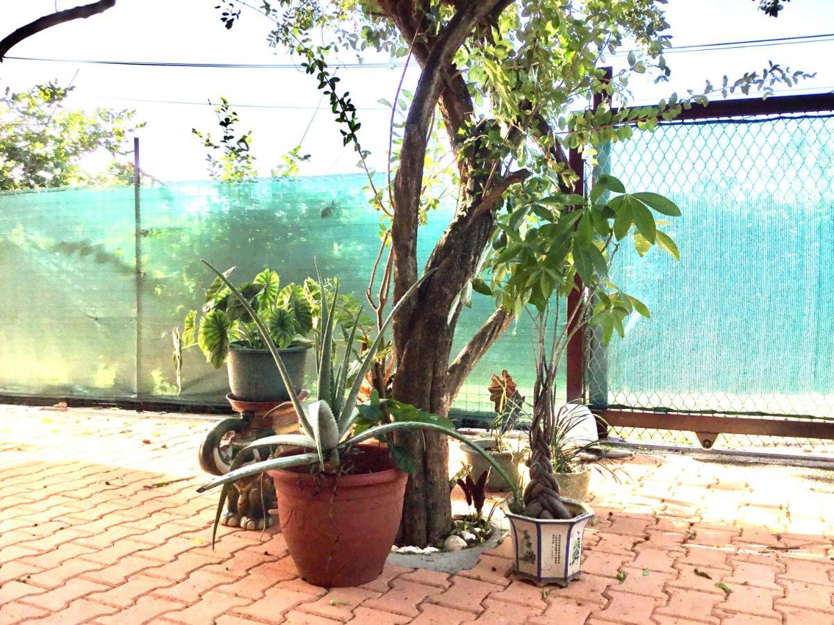 Belle Maison F3 Papeete  Ngoại thất bức ảnh