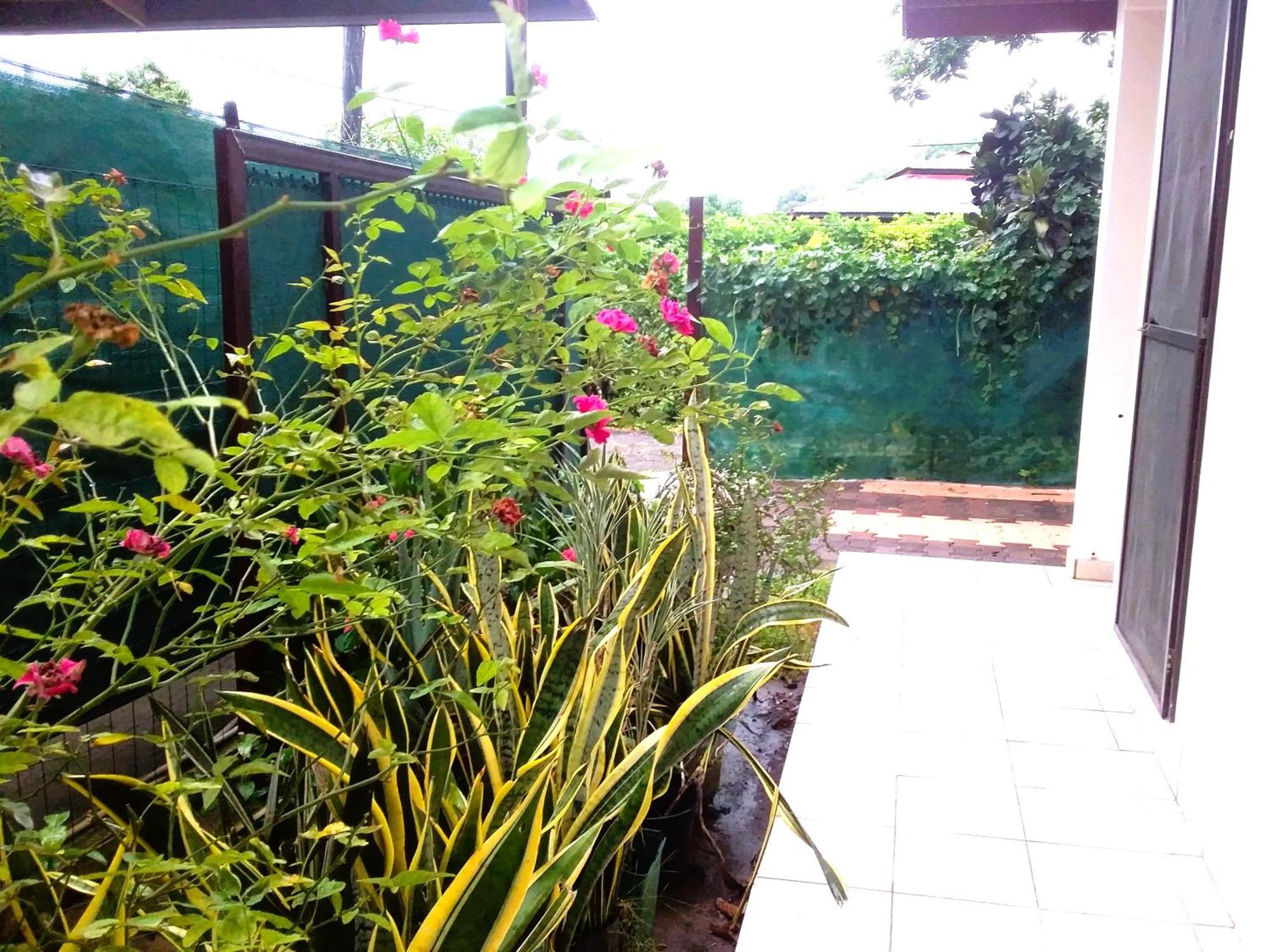 Belle Maison F3 Papeete  Ngoại thất bức ảnh